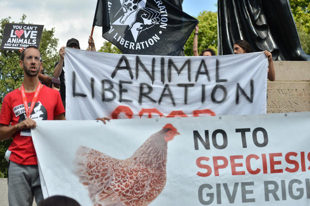 Animal Rights Activists Hold A Protest In London 