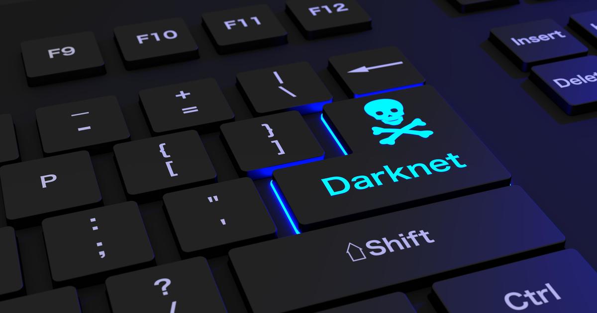 Darknet Boy Porn - Police bust dark web child porn site used by more than 400,000 members -  CBS News