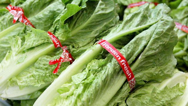 romaine-lettuce-1955931.jpg 