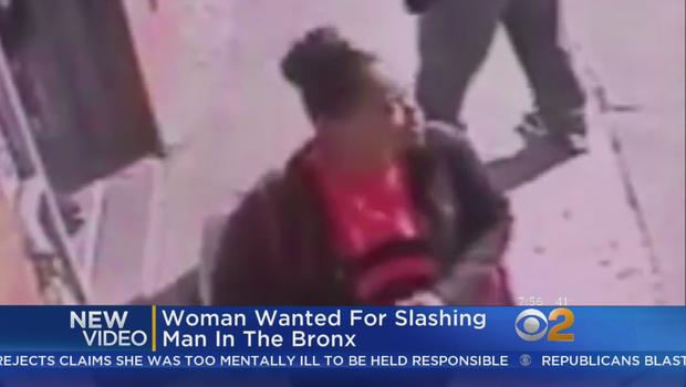 Bronx Slashing Suspect 