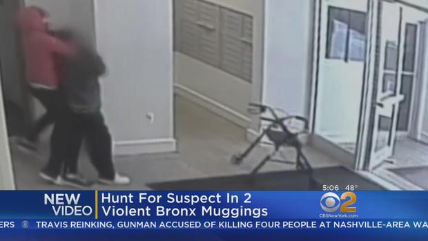 Bronx Mugging Suspect 