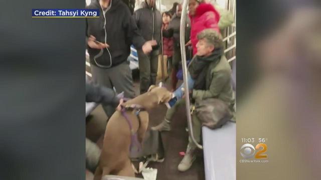 180425-cbsny-pitbull-dog-attack-subway.jpg 