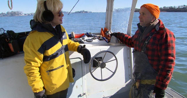 Seaweed farming and its surprising benefits - CBS News