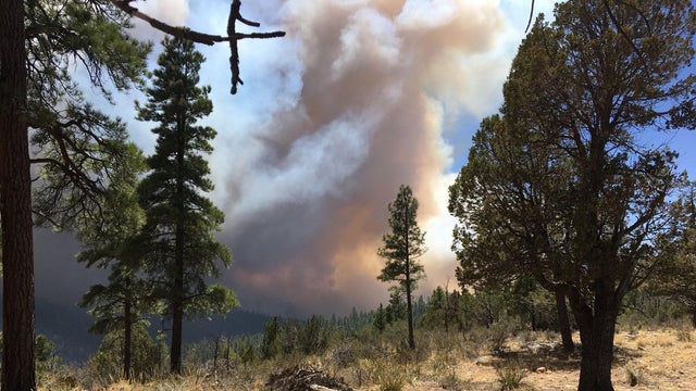 The so-called Tinder Fire in Arizona is seen in a photo the state Department of Forestry and Fire Management posted to social media on April 29, 2018. 