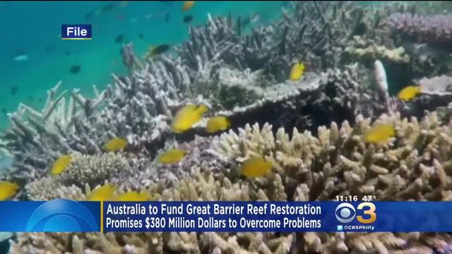 australia-to-fund-great-barrier-reef-restoration.jpg 