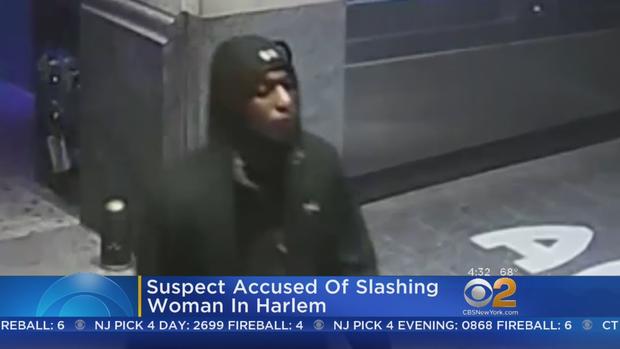 Harlem Slashing Suspect 