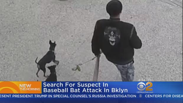 Brooklyn Assault Suspect 