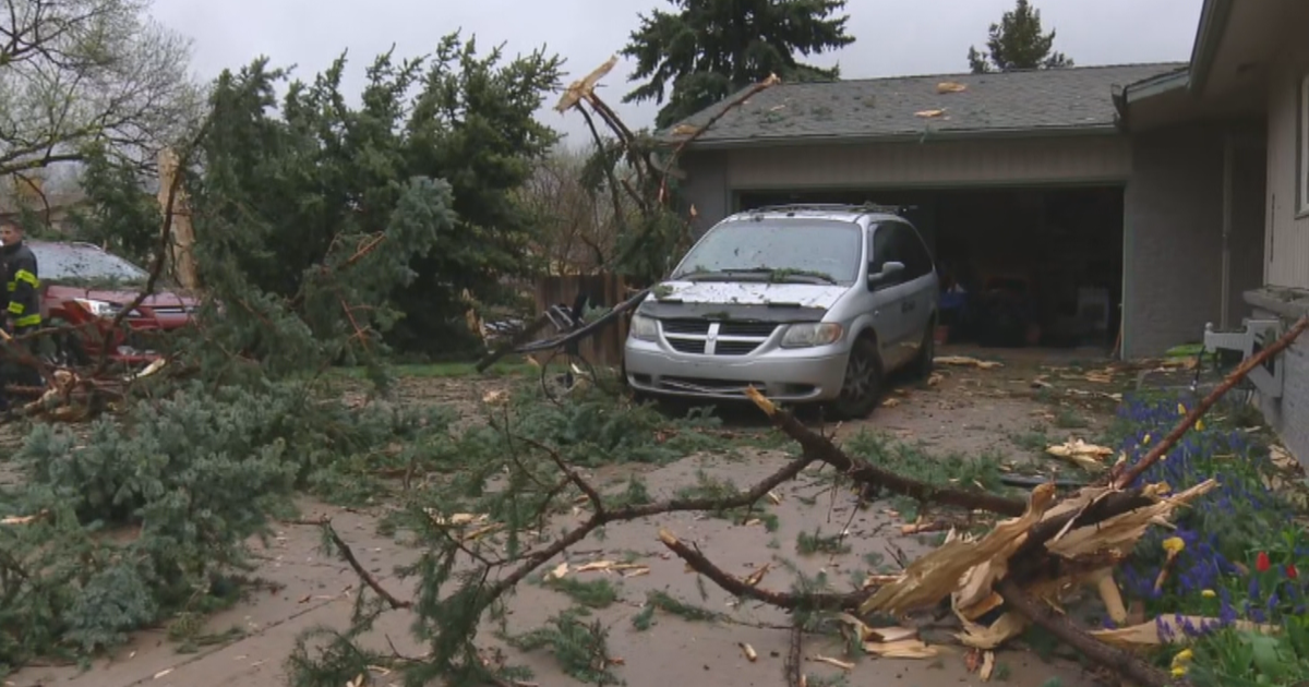 Lightning Strike Causes Homeowners Tree To Explode Cbs Colorado 