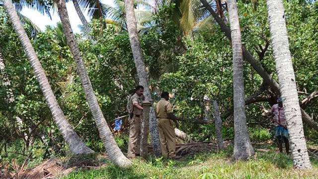 Police work the scene where a Latvian tourist's body was found in a forest in the south Indian state of Kerala in April 2018. 