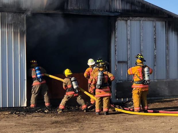 Frazee Barn Fire Kills 6,000 Turkeys 