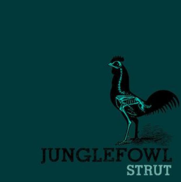 Junglefowl 