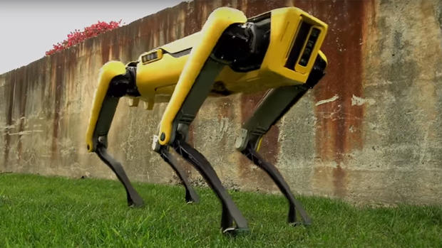 Boston Dynamics "Spot Mini" Robot Dog 