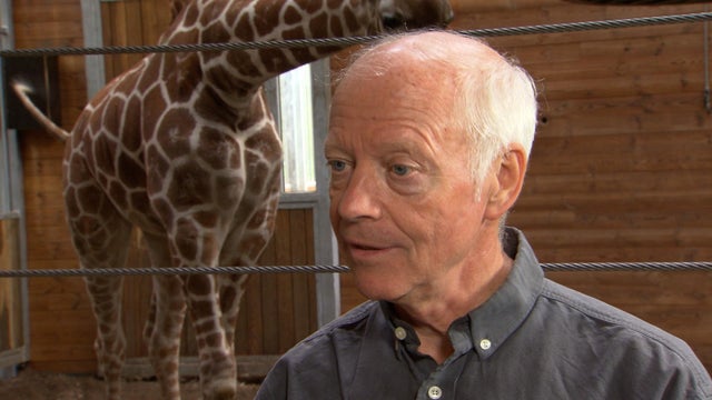 bengt-giraffe-intv.jpg 