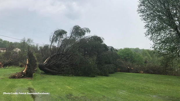 clarksville greene county trees down 