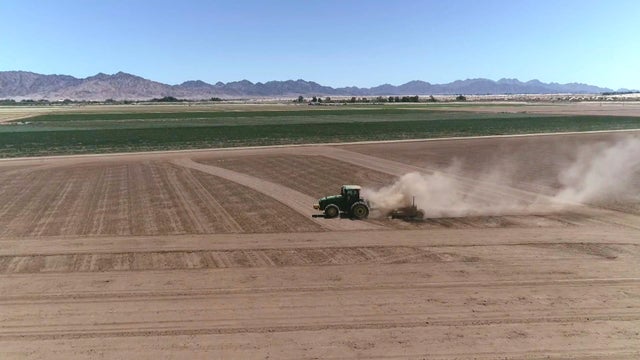nfa-villafranca-e-coli-ground-zero-needs-tracks-and-gfx-frame-191.jpg 