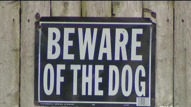 Beware of dog 