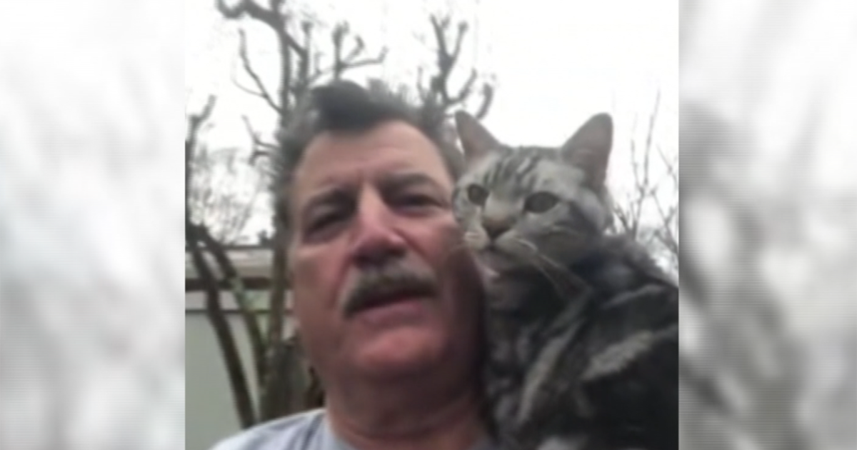 Keith Hernandez & His Cat Hadji Become Social Media Sensation