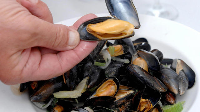 mussels.jpg 