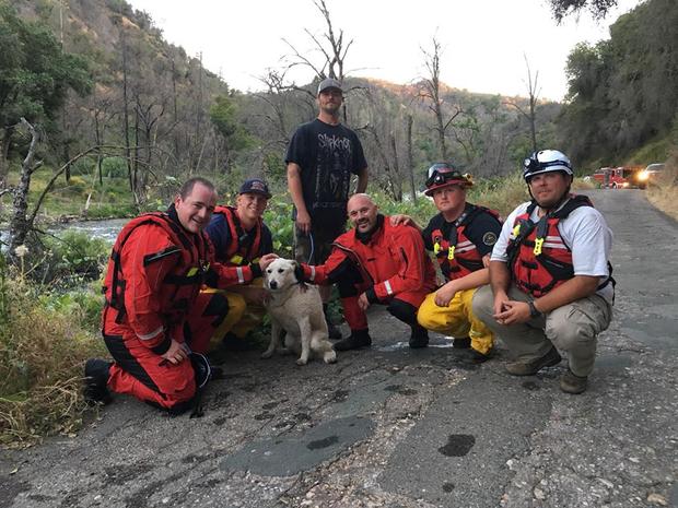 mokelumne river dog rescue 2 - jackson fire dept 