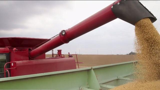 cbsn-fusion-chinas-newly-imposed-tariffs-will-cost-u-s-farmers-millions-of-dollars-thumbnail-1593339-640x360.jpg 