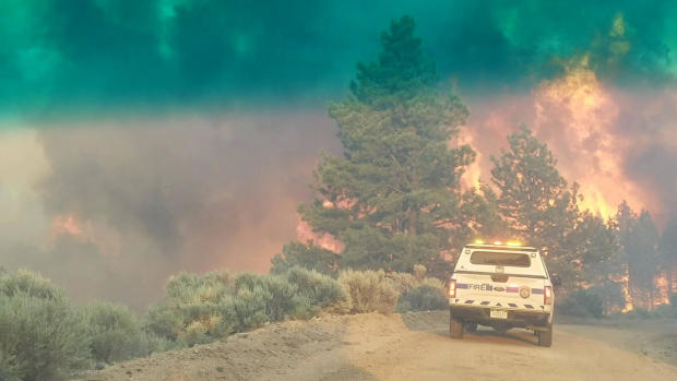 Flames rise from a treeline near an emergency vehicle during efforts to contain the Spring Creek Fire in Costilla County 
