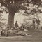 Civil War witness trees