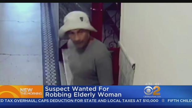 East Village Elderly Woman Robbed 
