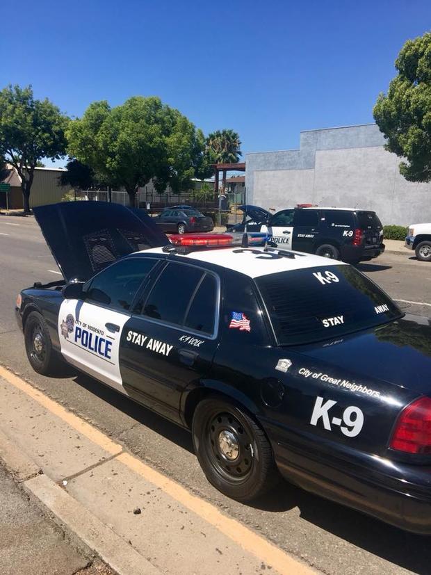 K9 OFFICERS IN HOT CARS -MODESTO POLICE CANINE ASSOCIATION 
