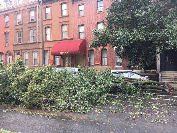 Severe Weather Downed Tree Spring Garden on Nissan Versa 