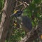 Nature: Sanibel Island