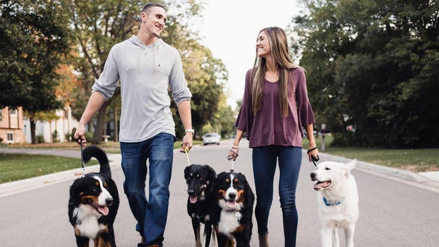 dogs-1621676-640x360.jpg 