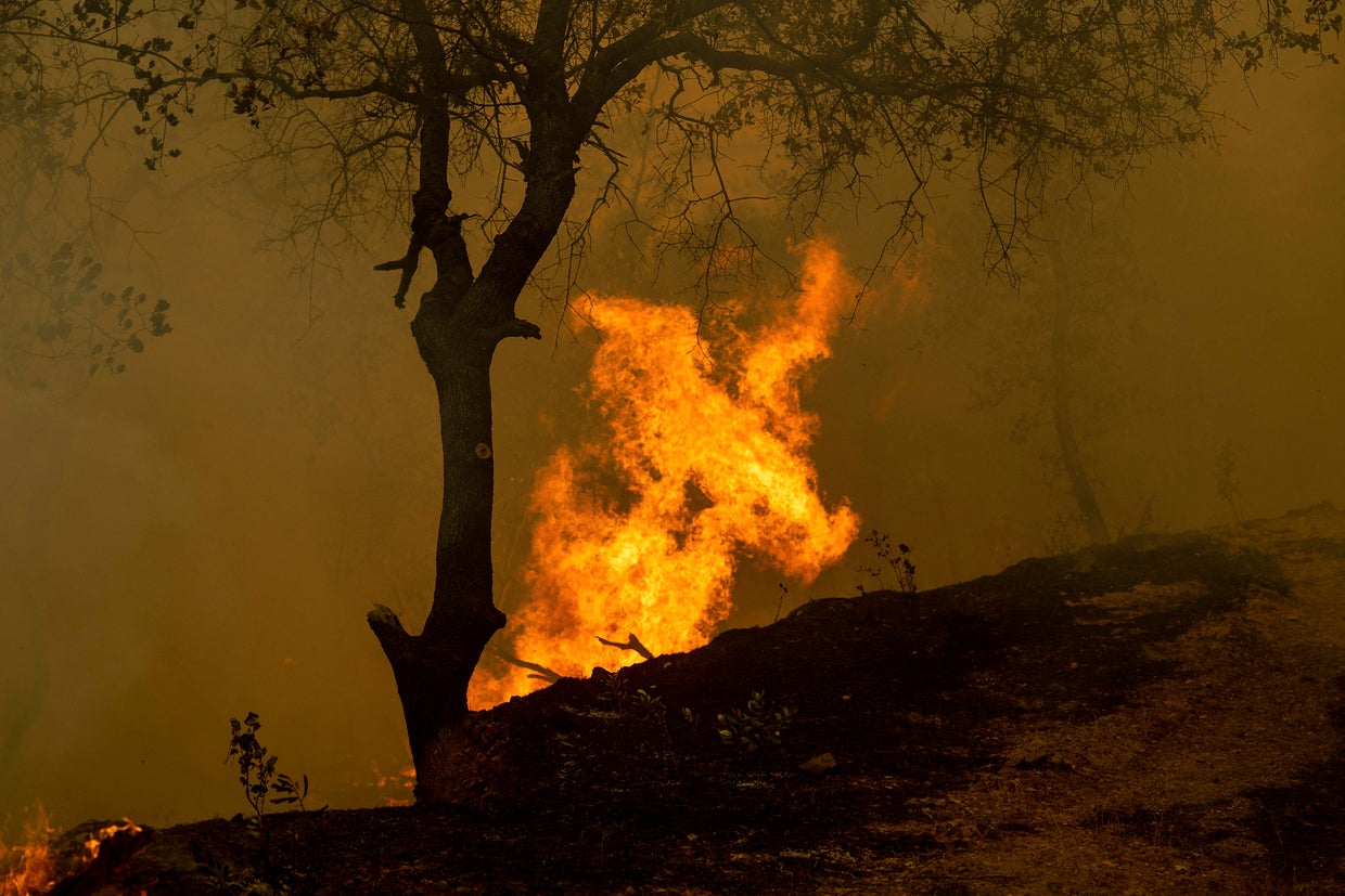 California Wildfires 