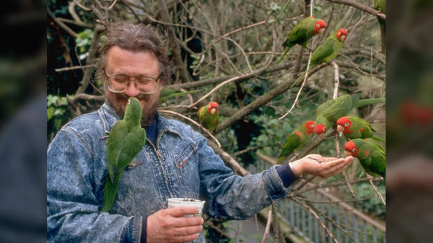 Mark Bittner Feeds Wild Parrots of Telegraph Hill 