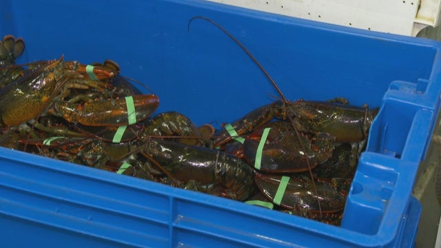 ctm-0808-lobster-tariffs.jpg 