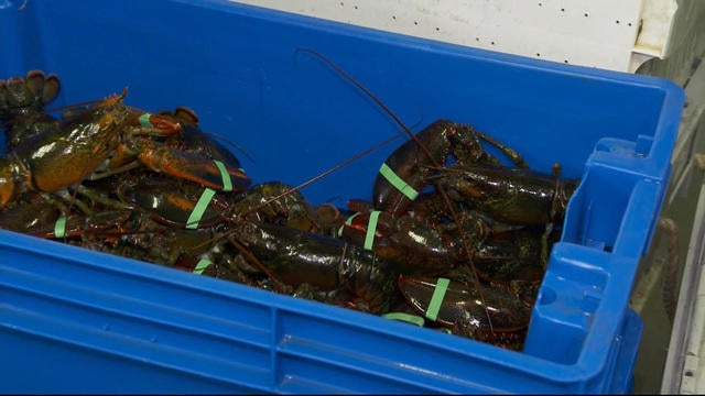 0808-ctm-lobstertariffs-dahler-1630720-640x360.jpg 