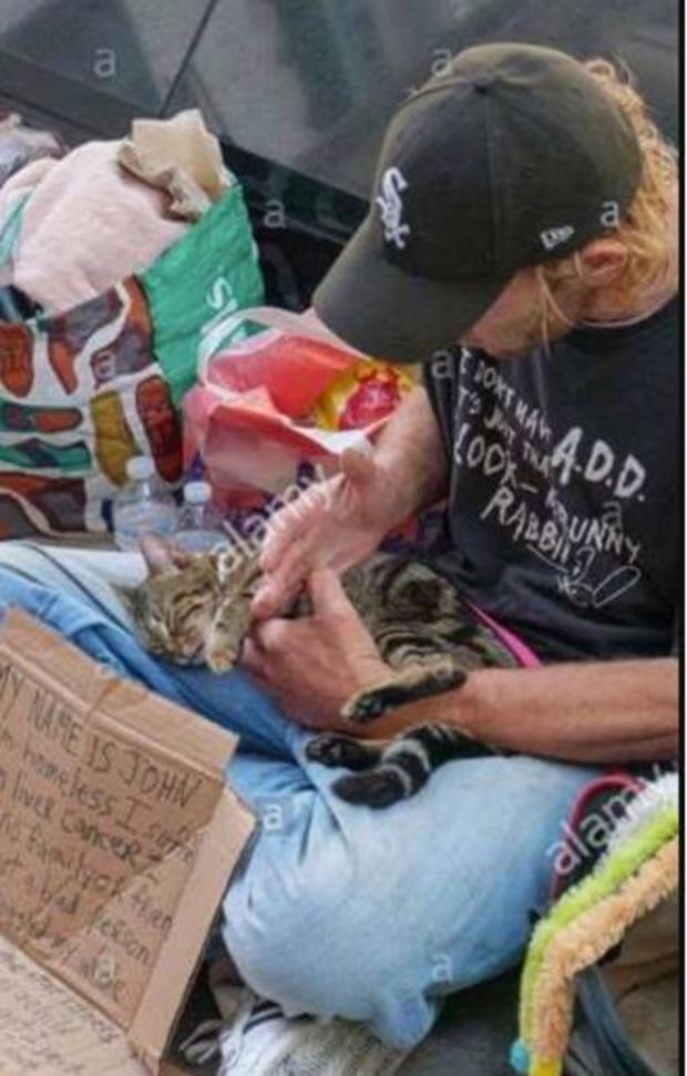Homeless man's cat stolen 
