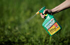 Weed-killing chemical found in majority of U.S. urine samples