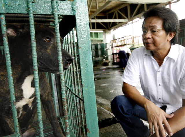 PHILIPPINES-DOG-ATTACK 