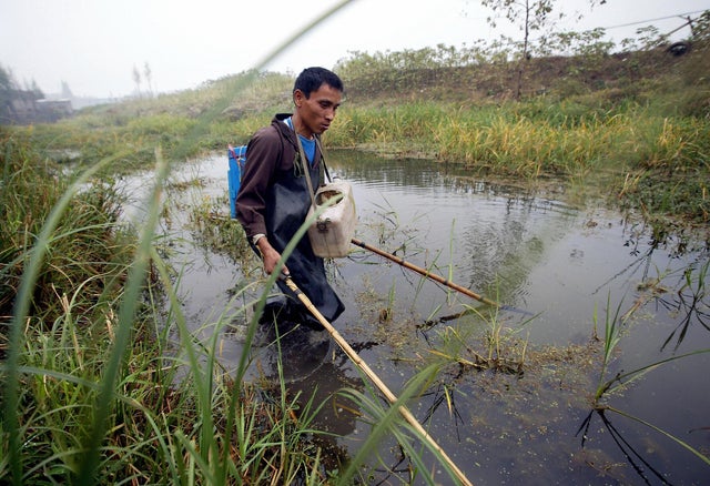 TO GO WITH AFP STORY HEALTH-CHINA-SNAILF 