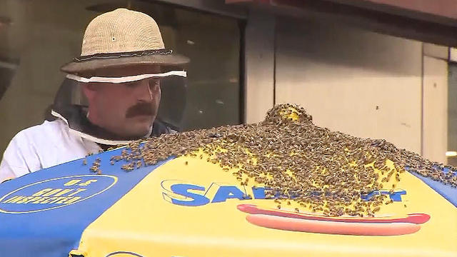 bees-swarm-hot-dog-stand.jpg 