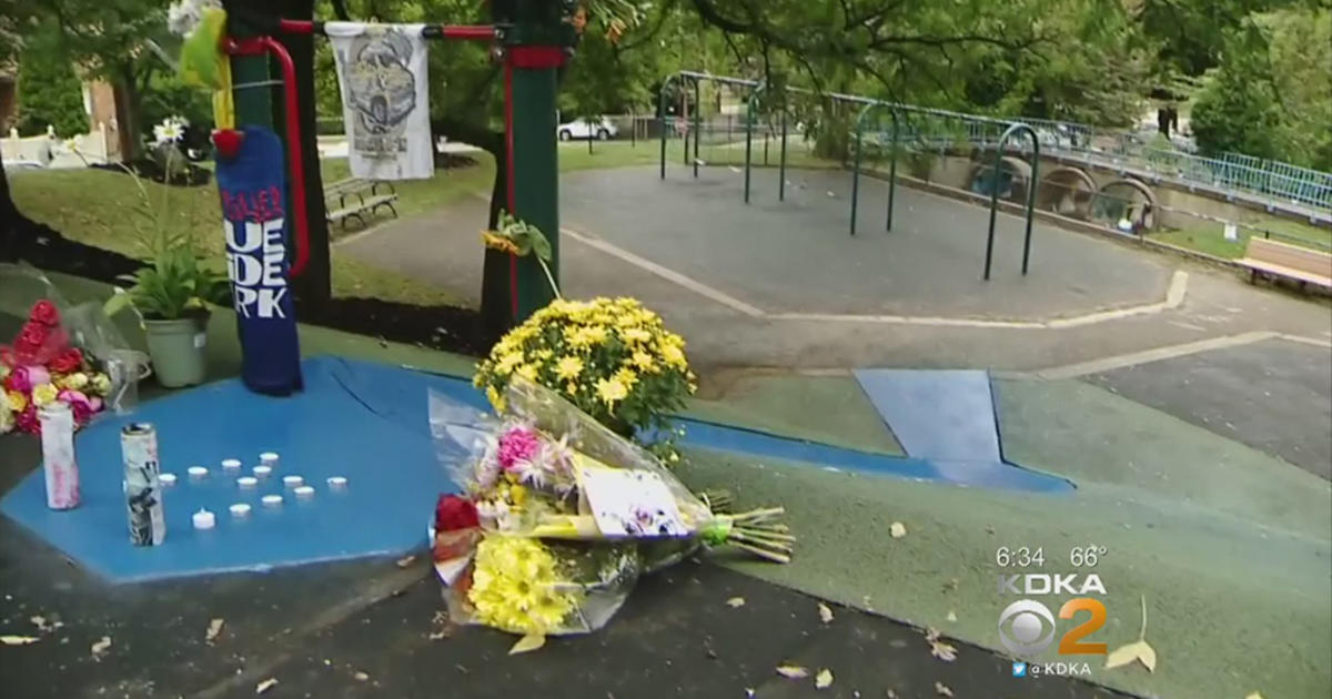 Playground Now Identified As 'Mac Miller's Blue Slide Playground' On Google  Maps - CBS Pittsburgh