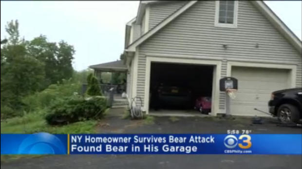 homeowner bear attack 