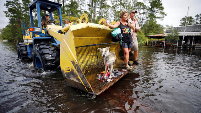 Jimmy Shackleford of Burgaw transports his son Jim Shackleford and his wife Lisa, and their pets in the bucket of his tractor as the Northeast Cape Fear River breaks its banks 