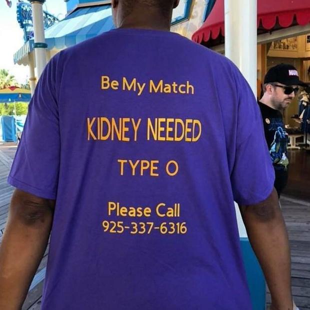 Disneyland Kidney Shirts 2 - LINDSEY BALLOU 