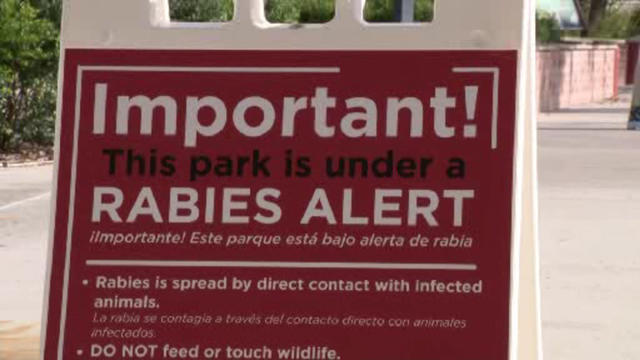 zoo-miami-rabies-alert.jpg 