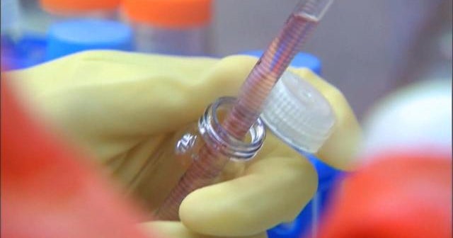 Suspect Arrested In Norcal Rapist Case Cbs News