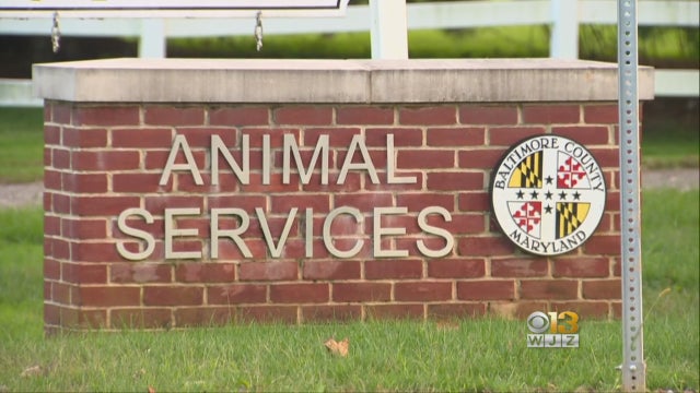 1003animalcontrol1.jpg 