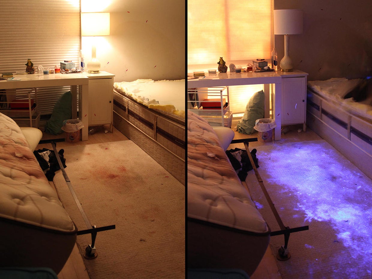 leibel-bedroom.jpg 