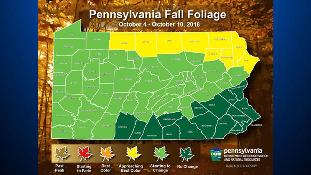 fall foliage forecast 