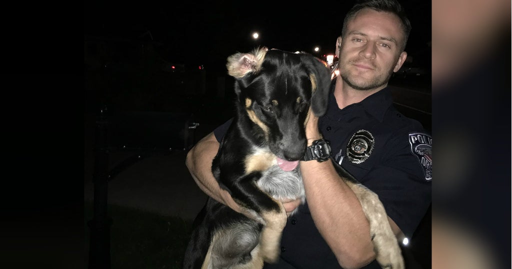 Police Search For Dog Owner, Internet Goes Wild For 'Officer ...